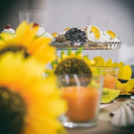 Light Blue Balestrate